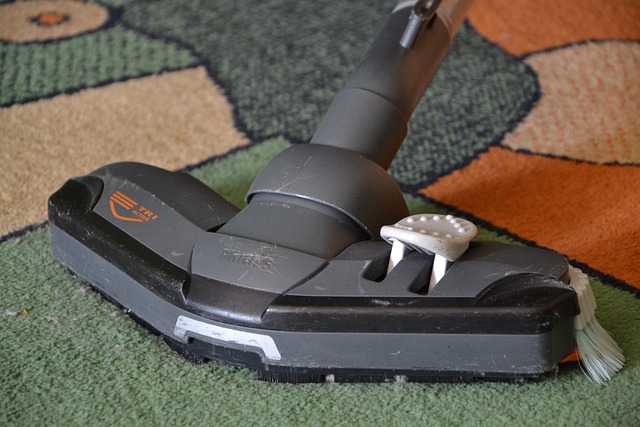 Carpet & Rug Cleaning